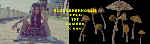 соль курить ск Алексеевка