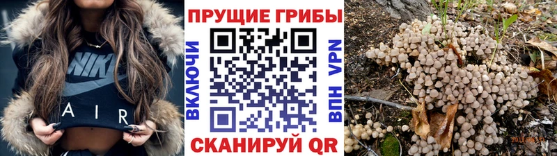 Псилоцибиновые грибы мухоморы  omg ТОР  Невинномысск  купить наркотик 