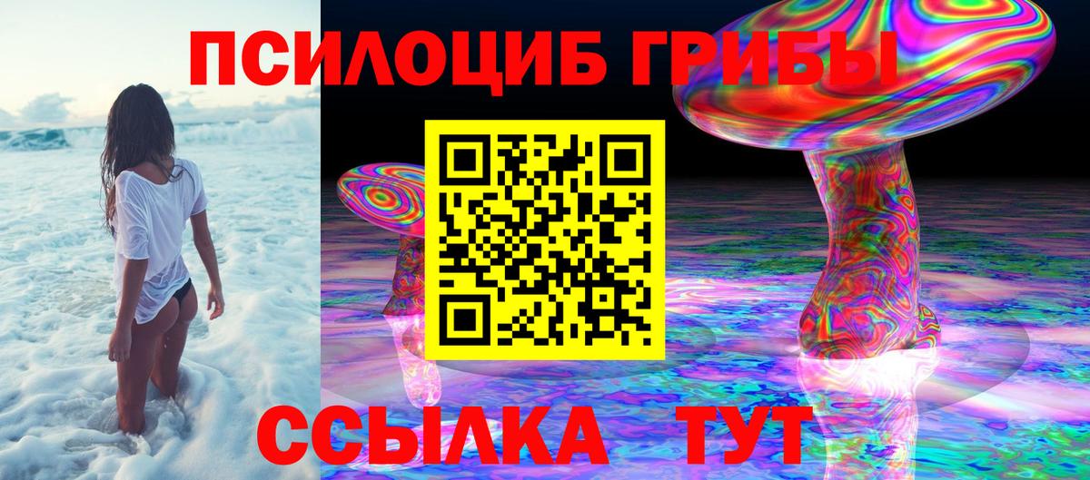 Галлюциногенные грибы прущие грибы  Псилоцибиновые грибы ЛСД  Невинномысск  Вход с VPN 