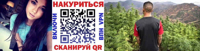 Бошки марихуана SATIVA & INDICA Невинномысск